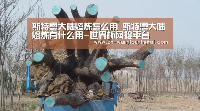 斯特恩大陆熔炼怎么用 斯特恩大陆熔炼有什么用-世界杯网投平台(图2) 世界杯网投平台