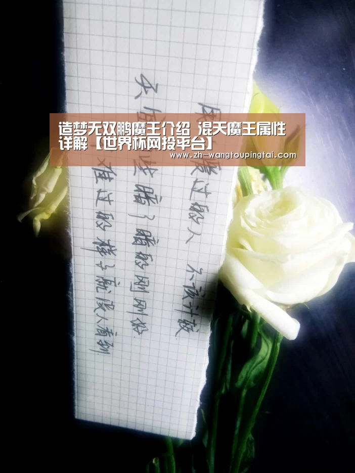 世界杯网投平台