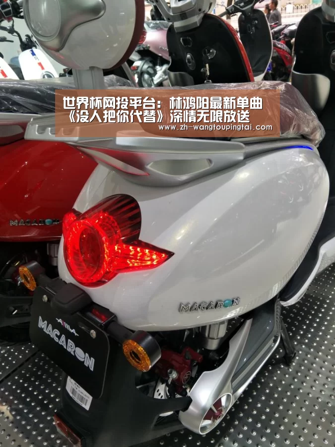 世界杯网投平台