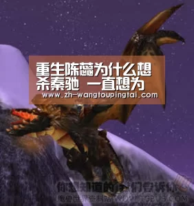 世界杯网投平台